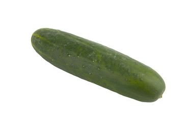 Fresh Cucumber
