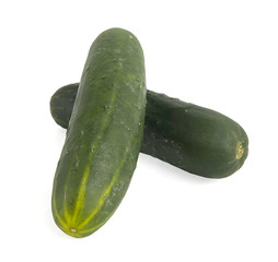 Fresh Cucumber