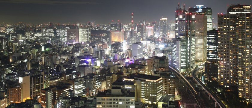 Panorama Tokyo City in Japan at night from high above