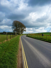 Avebury Road