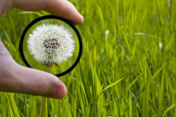 focus