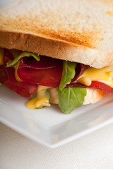 Nahaufnahme eines Sandwiches