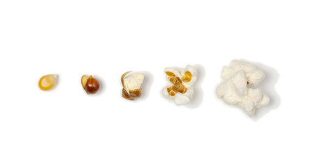 The different stages of a corn until becoming a popcorn