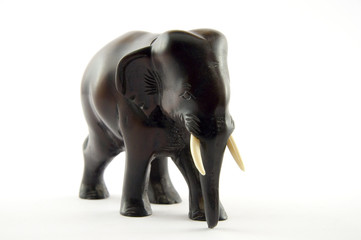 Elefant