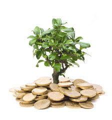 Finanzielles Wachstum (Konzept)