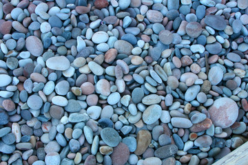 Kiesel am Meeresstrand