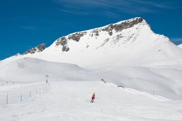Naklejka na ściany i meble Alpien ski slope