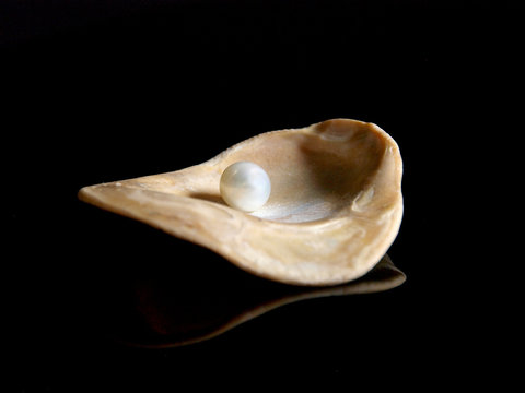 Muschel mit Perle