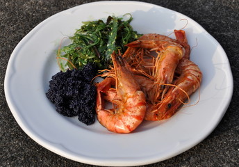 algues,crevettes et oeufs de lompe