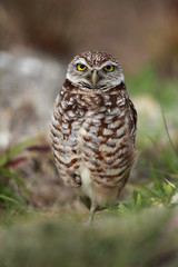 Who Me?