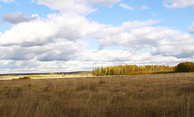 Fototapeta premium cloudy field