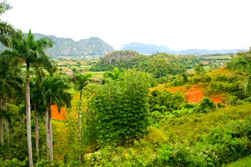 Vinales valley, Cuba