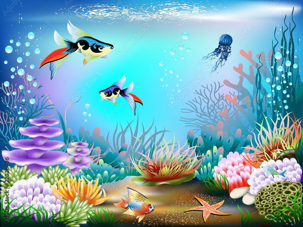 Wall mural underwater world