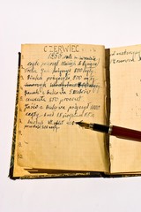 Naklejka premium old book
