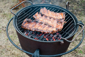 Grilled ribs