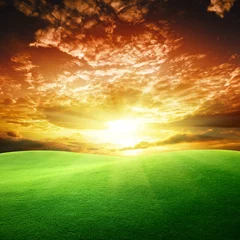 Poster field of grass and perfect sunset sky © Iakov Kalinin