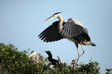 It's All About Balance