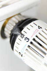 Thermostatregler