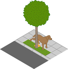Hundepipi