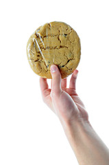 Hand holding plastic wrapped cookie - 22032818