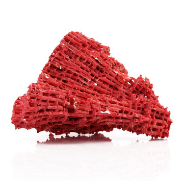 corallo rosso