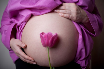 pregnancy and flower tulip