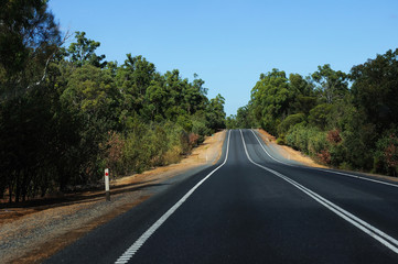 road passing through the bush