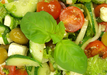 Fresh salad background