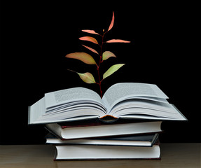 Tree growing from open book