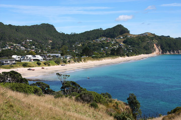 New Zealand beach - Coromandel Peninsula