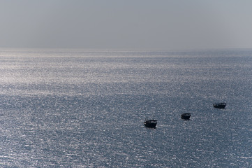 Fishermen's dhows