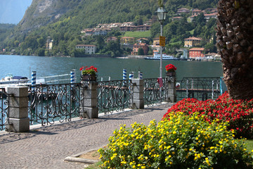 Lago di Como il lungolago fiorito