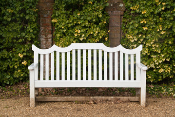 A single white bench  in front of an ivy-covered brick wall