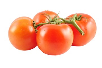 tomatoes