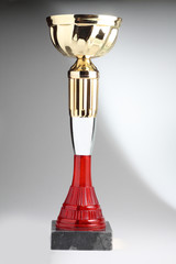 Sport cup