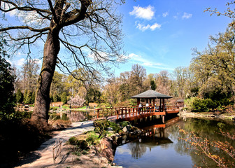 Obraz premium Japanese garden