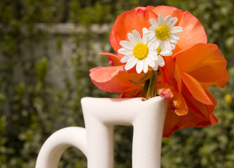 Fototapeta premium Daisies and rose in white vase
