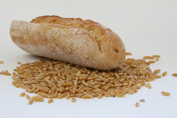 Kamutgetreide mit Brötchen
