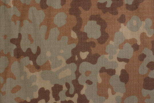 fall camouflage fabric