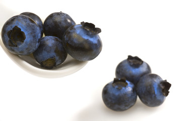 bilberries close-up