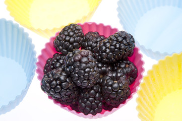 Fresh Healthy Blackberries