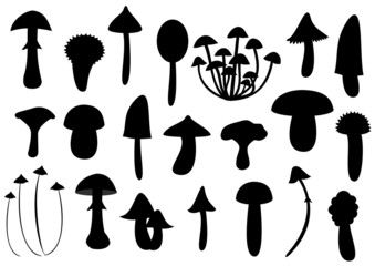 Mushroom silhouettes