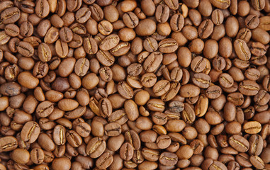 Coffee grains