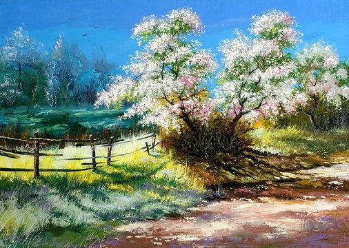 Blossoming bush on rural surburb