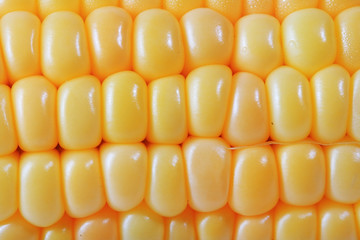 Tasty kitchen. Fresh vegetables isolated on white