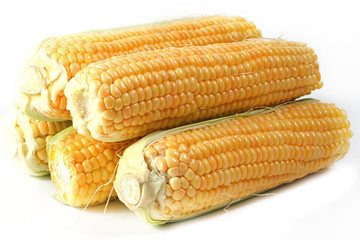 Tasty kitchen. Fresh vegetables isolated on white