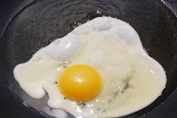 Macro closeup of an egg sizzling in a frying pan