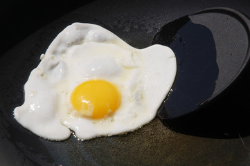 Macro closeup of an egg sizzling in a frying pan
