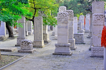 Fototapeta na wymiar Beijing, Dongyue temple. Ancient stone tablets forest.