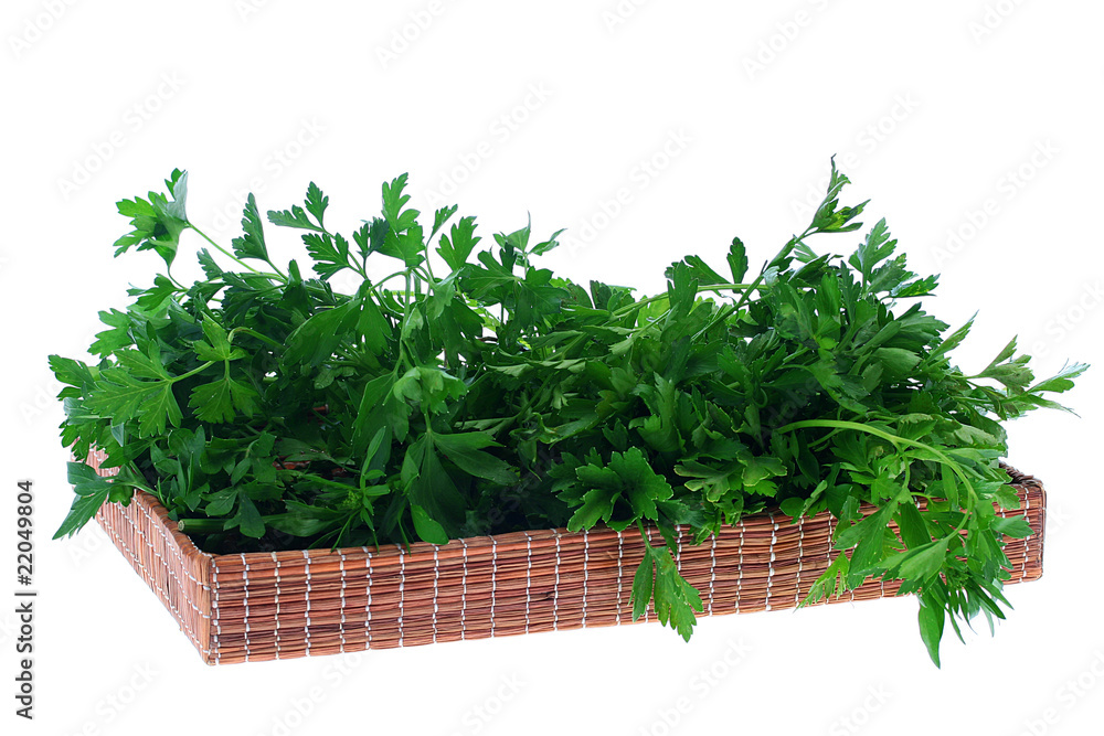 Wall mural parsley